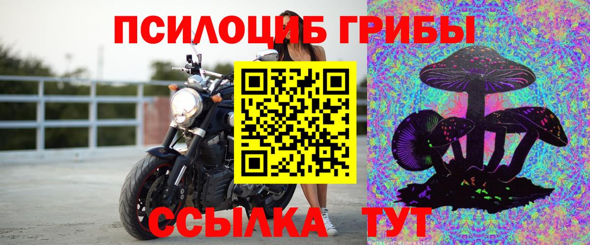 Галлюциногенные грибы MAGIC MUSHROOMS  Вход с VPN  Можга  Галлюциногенные грибы мухоморы 