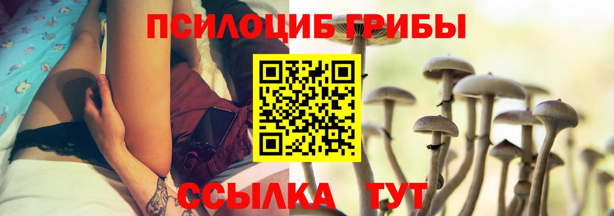 Галлюциногенные грибы мицелий Можга